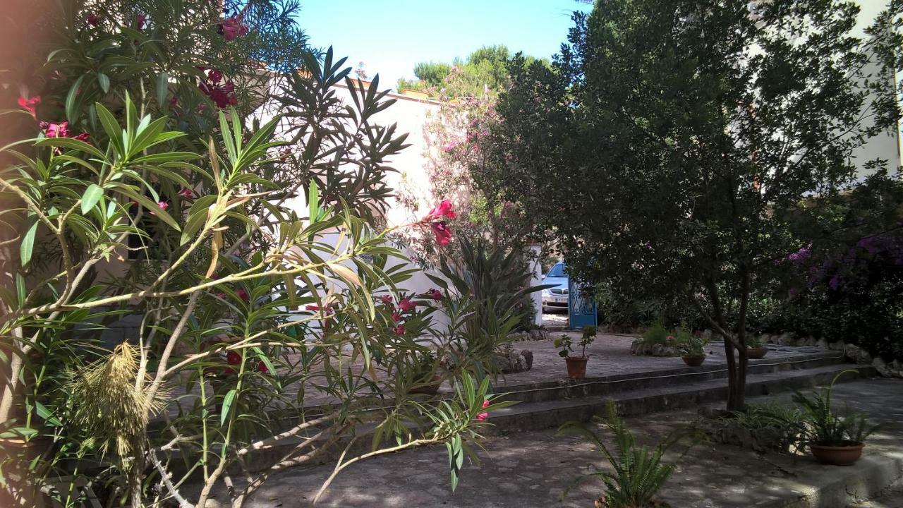 סן ויטו לו קאפו B&B Villa Il Carrubo מראה חיצוני תמונה
