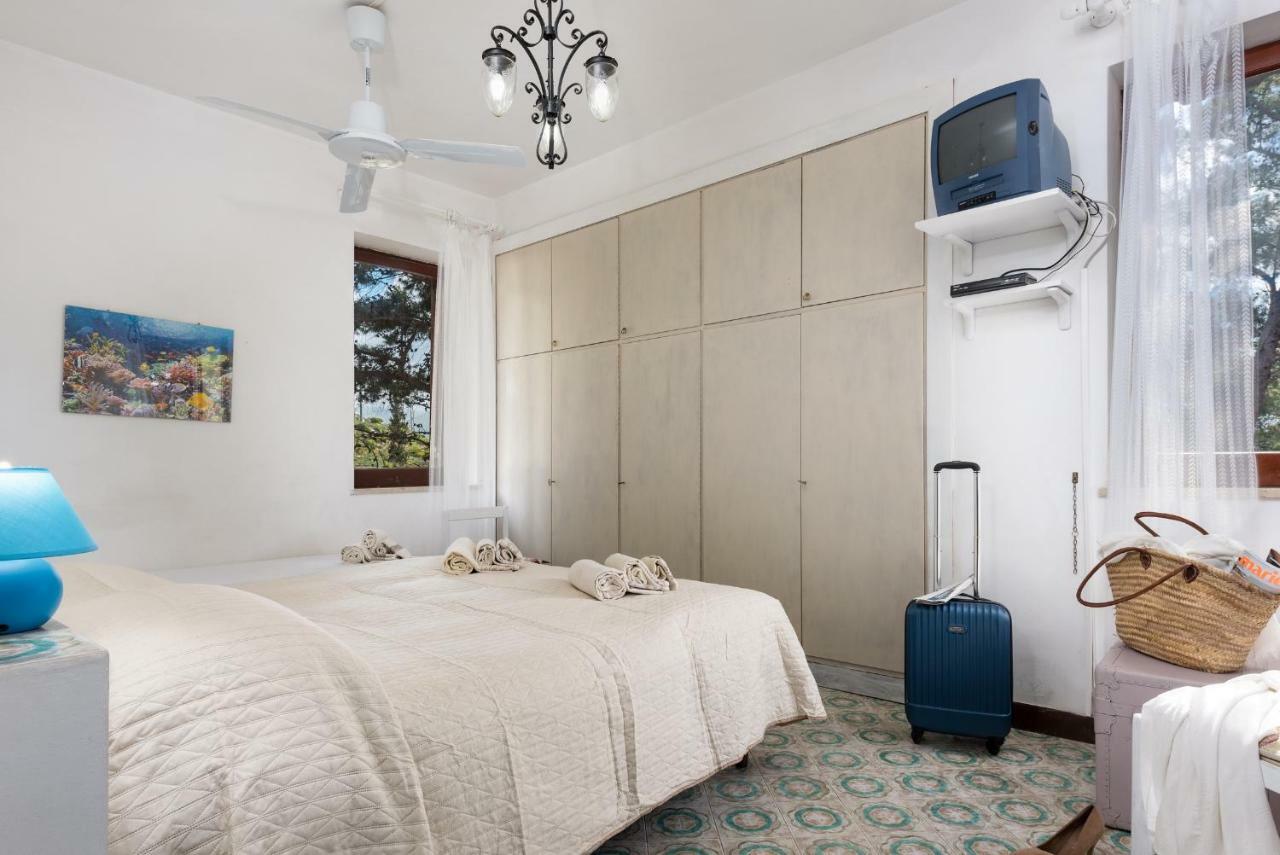 סן ויטו לו קאפו B&B Villa Il Carrubo מראה חיצוני תמונה